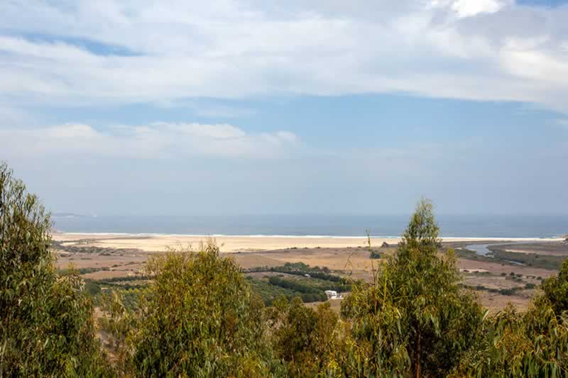 Casa T