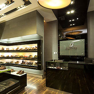 Proyecto g-star