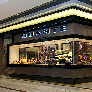 Proyecto guante