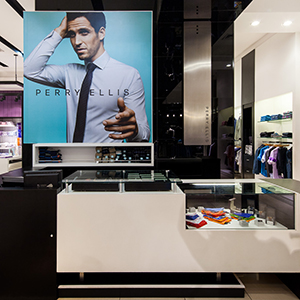 Proyecto perryellis